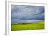 Spring Rolling Hills of Wheat and Fallow Fields-Terry Eggers-Framed Photographic Print