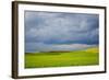 Spring Rolling Hills of Wheat and Fallow Fields-Terry Eggers-Framed Photographic Print