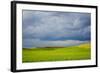 Spring Rolling Hills of Wheat and Fallow Fields-Terry Eggers-Framed Photographic Print