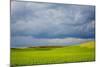 Spring Rolling Hills of Wheat and Fallow Fields-Terry Eggers-Mounted Photographic Print