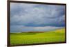 Spring Rolling Hills of Wheat and Fallow Fields-Terry Eggers-Framed Photographic Print