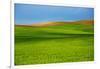 Spring Rolling Hills of Wheat and Fallow Fields-Terry Eggers-Framed Photographic Print