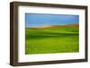 Spring Rolling Hills of Wheat and Fallow Fields-Terry Eggers-Framed Photographic Print