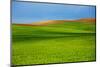 Spring Rolling Hills of Wheat and Fallow Fields-Terry Eggers-Mounted Photographic Print