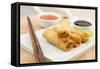 Spring Rolls-Paul_Brighton-Framed Stretched Canvas