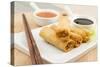 Spring Rolls-Paul_Brighton-Stretched Canvas