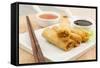 Spring Rolls-Paul_Brighton-Framed Stretched Canvas