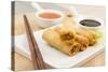 Spring Rolls-Paul_Brighton-Stretched Canvas