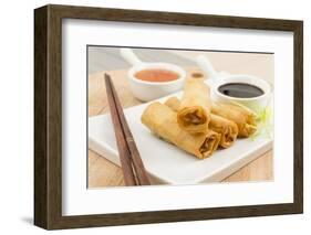 Spring Rolls-Paul_Brighton-Framed Photographic Print