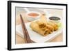 Spring Rolls-Paul_Brighton-Framed Photographic Print