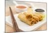 Spring Rolls-Paul_Brighton-Mounted Photographic Print