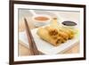 Spring Rolls-Paul_Brighton-Framed Photographic Print