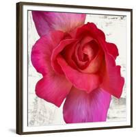 Spring Roses I-Jenny Thomlinson-Framed Art Print