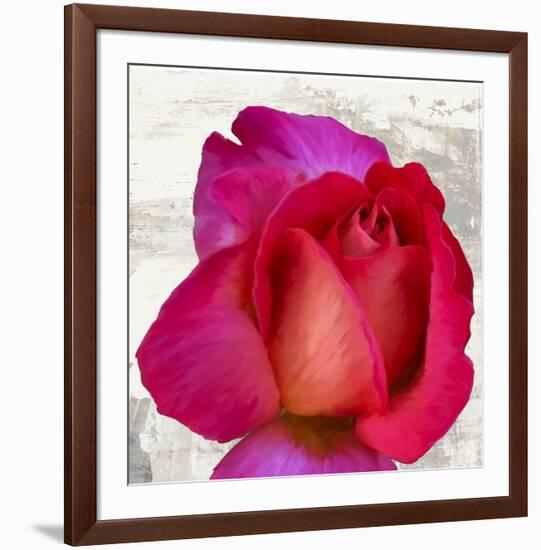 Spring Roses III-Jenny Thomlinson-Framed Art Print