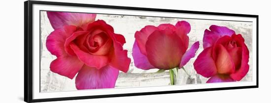 Spring Roses-Jenny Thomlinson-Framed Art Print