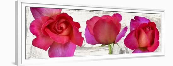 Spring Roses-Jenny Thomlinson-Framed Art Print