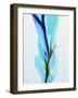 Spring’s Calling Card-Patricia Coulter-Framed Art Print