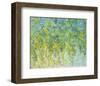 Spring’s Delight-Jessica Torrant-Framed Giclee Print