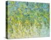 Spring’s Delight-Jessica Torrant-Stretched Canvas