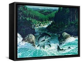 Spring Salmon-Jack Dumas-Framed Stretched Canvas