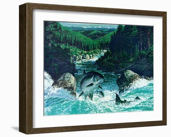 Spring Salmon-Jack Dumas-Framed Giclee Print