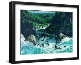 Spring Salmon-Jack Dumas-Framed Giclee Print