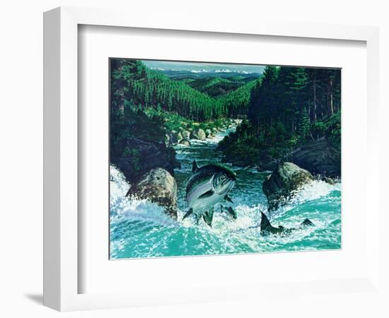 Spring Salmon-Jack Dumas-Framed Giclee Print