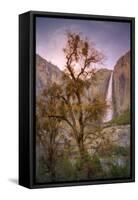 Spring Scene at Yosemite Falls, California-Vincent James-Framed Stretched Canvas