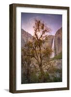 Spring Scene at Yosemite Falls, California-Vincent James-Framed Photographic Print