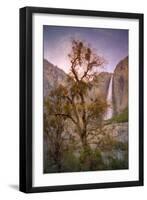 Spring Scene at Yosemite Falls, California-Vincent James-Framed Photographic Print