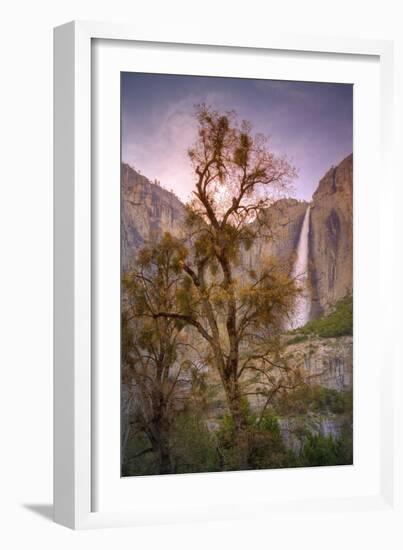 Spring Scene at Yosemite Falls, California-Vincent James-Framed Photographic Print