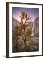 Spring Scene at Yosemite Falls, California-Vincent James-Framed Photographic Print