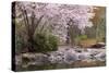 Spring Scenic in Lithia Park, Ashland, Oregon, USA-Jaynes Gallery-Stretched Canvas