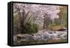 Spring Scenic in Lithia Park, Ashland, Oregon, USA-Jaynes Gallery-Framed Stretched Canvas