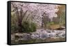 Spring Scenic in Lithia Park, Ashland, Oregon, USA-Jaynes Gallery-Framed Stretched Canvas