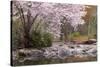 Spring Scenic in Lithia Park, Ashland, Oregon, USA-Jaynes Gallery-Stretched Canvas