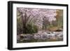 Spring Scenic in Lithia Park, Ashland, Oregon, USA-Jaynes Gallery-Framed Photographic Print