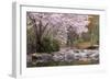 Spring Scenic in Lithia Park, Ashland, Oregon, USA-Jaynes Gallery-Framed Photographic Print