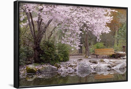 Spring Scenic in Lithia Park, Ashland, Oregon, USA-Jaynes Gallery-Framed Photographic Print