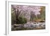 Spring Scenic in Lithia Park, Ashland, Oregon, USA-Jaynes Gallery-Framed Photographic Print