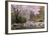 Spring Scenic in Lithia Park, Ashland, Oregon, USA-Jaynes Gallery-Framed Photographic Print