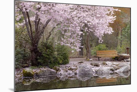 Spring Scenic in Lithia Park, Ashland, Oregon, USA-Jaynes Gallery-Mounted Photographic Print