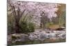 Spring Scenic in Lithia Park, Ashland, Oregon, USA-Jaynes Gallery-Mounted Photographic Print