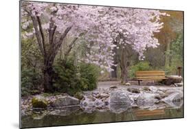 Spring Scenic in Lithia Park, Ashland, Oregon, USA-Jaynes Gallery-Mounted Photographic Print