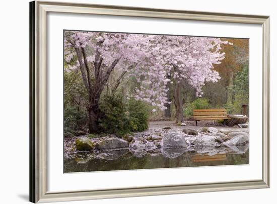 Spring Scenic in Lithia Park, Ashland, Oregon, USA-Jaynes Gallery-Framed Photographic Print