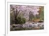 Spring Scenic in Lithia Park, Ashland, Oregon, USA-Jaynes Gallery-Framed Photographic Print