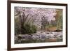 Spring Scenic in Lithia Park, Ashland, Oregon, USA-Jaynes Gallery-Framed Photographic Print