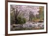 Spring Scenic in Lithia Park, Ashland, Oregon, USA-Jaynes Gallery-Framed Photographic Print