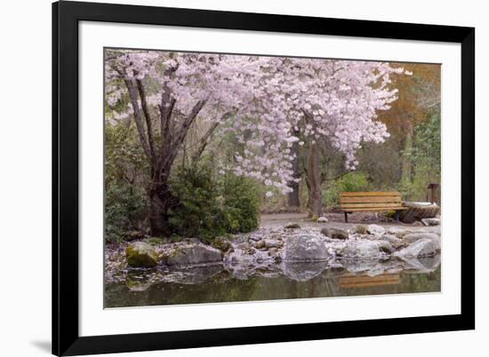 Spring Scenic in Lithia Park, Ashland, Oregon, USA-Jaynes Gallery-Framed Photographic Print