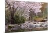 Spring Scenic in Lithia Park, Ashland, Oregon, USA-Jaynes Gallery-Mounted Photographic Print